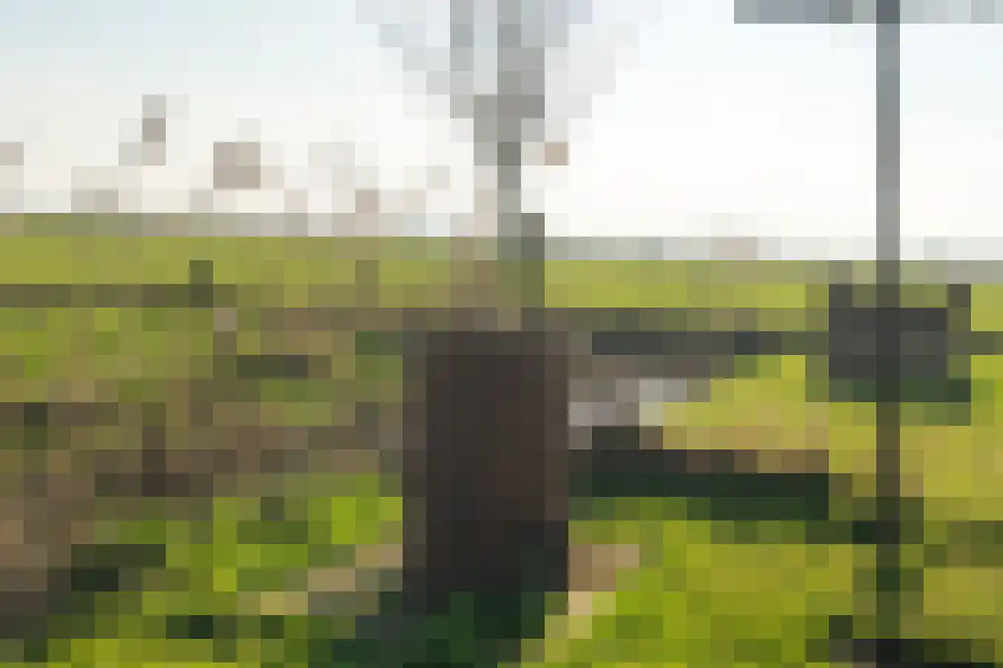 Zoutendijk 7 Hooge Zwaluwe thumbnail 51