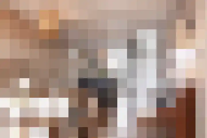 Zoutepoel 1 a Sneek thumbnail 14