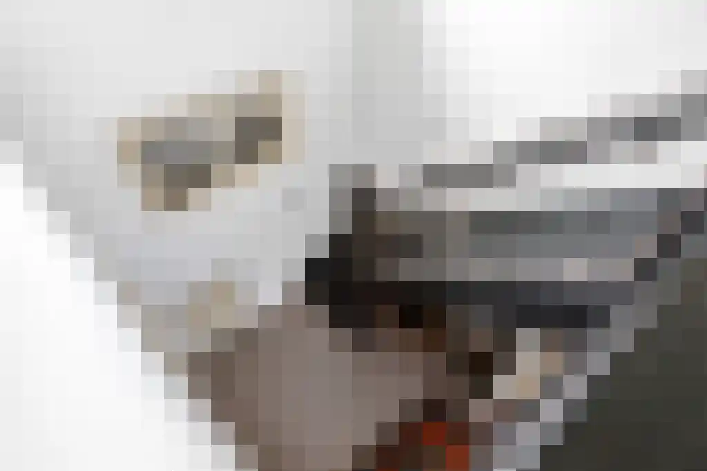 Zoutepoel 1 a Sneek thumbnail 27