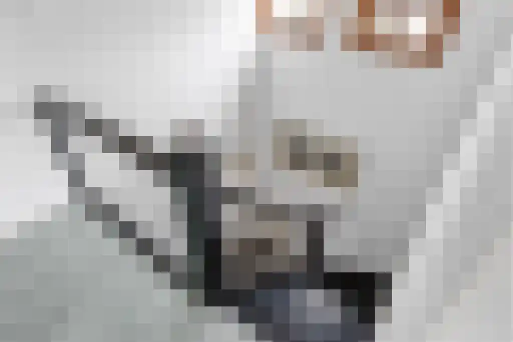 Zoutepoel 1 a Sneek thumbnail 28