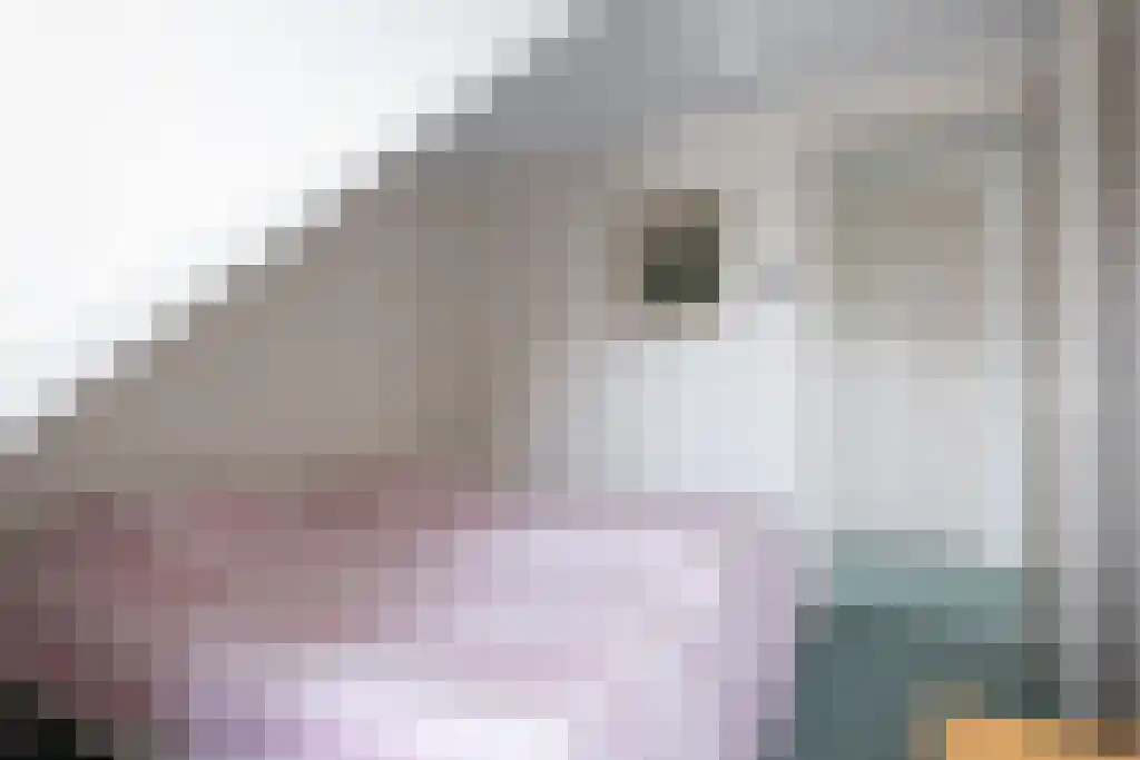 Zoutepoel 1 a Sneek thumbnail 35