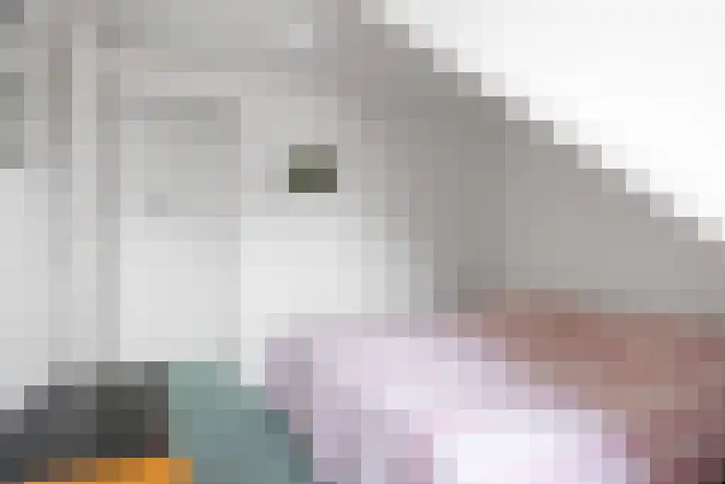 Zoutepoel 1 a Sneek thumbnail 36