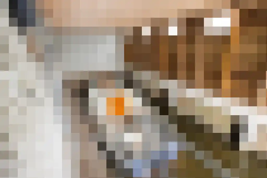 Zoutepoel 1 a Sneek thumbnail 39