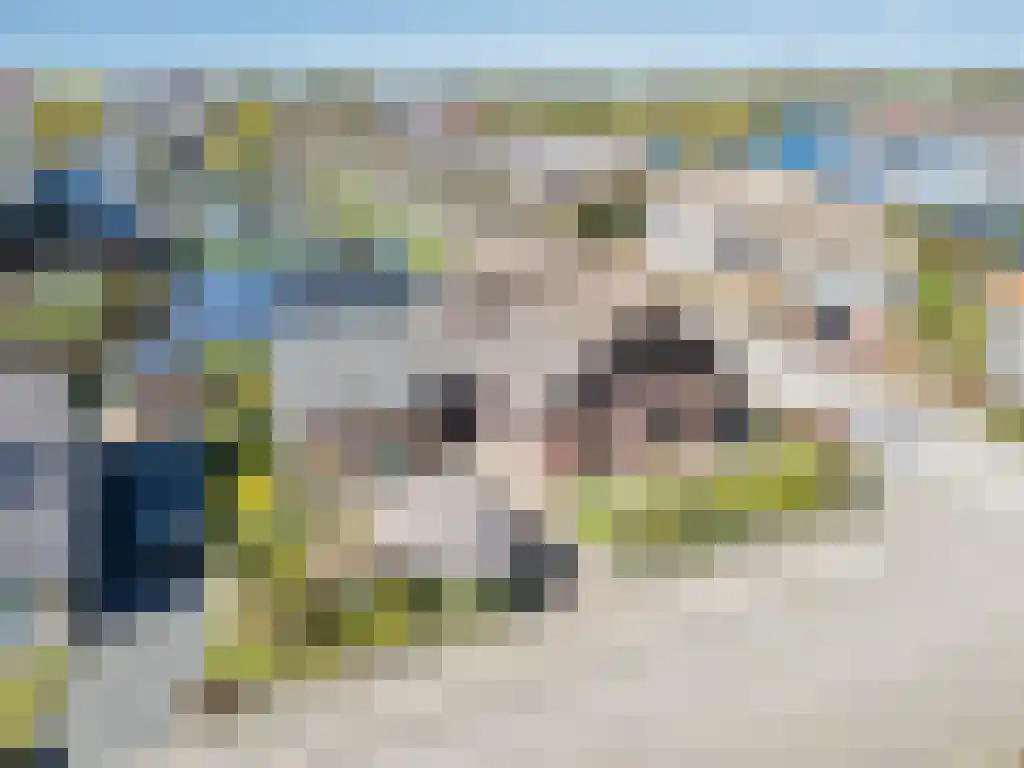 Zoutepoel 1 a Sneek thumbnail 4