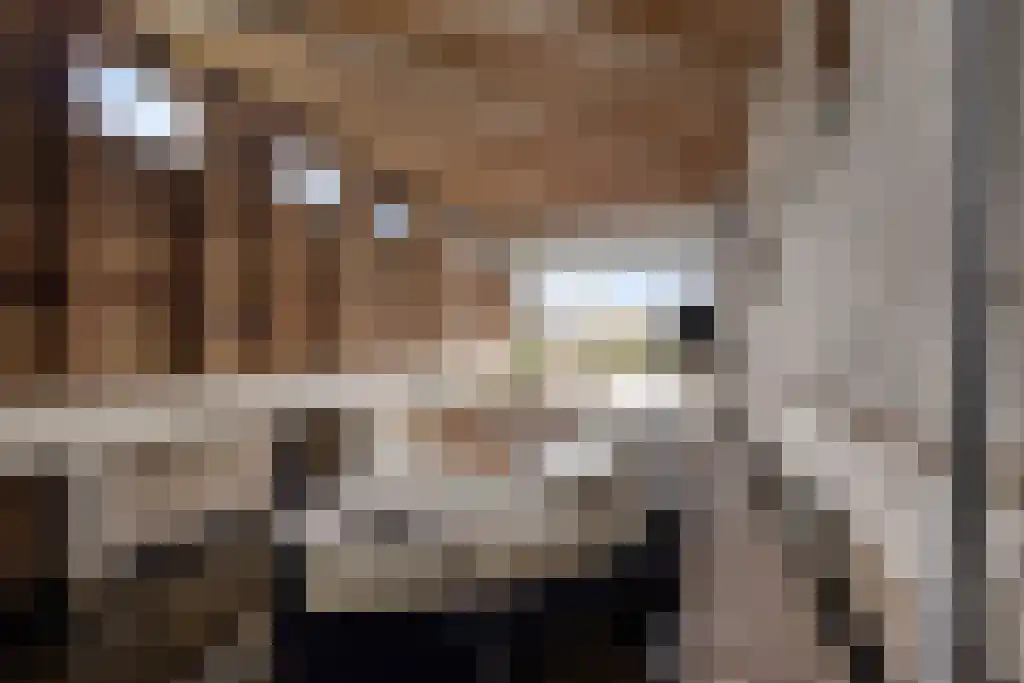 Zoutepoel 1 a Sneek thumbnail 40