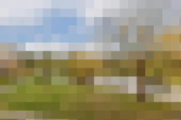 Zoutepoel 1 a Sneek thumbnail 43