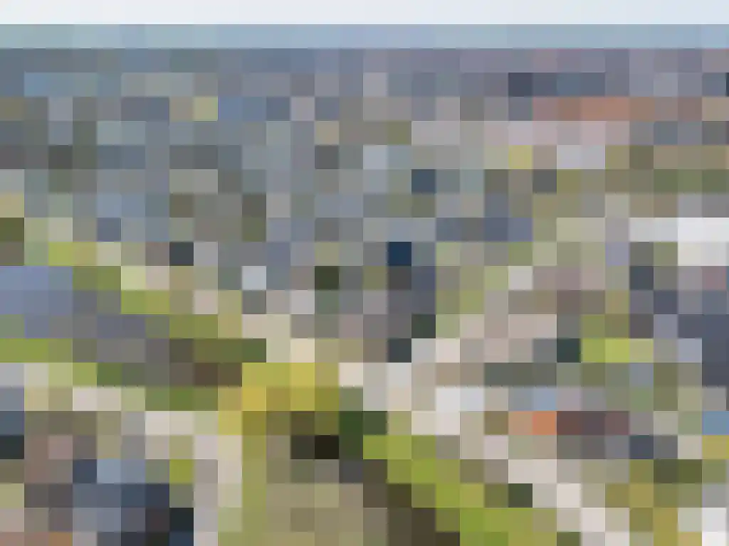Zoutepoel 1 a Sneek thumbnail 5