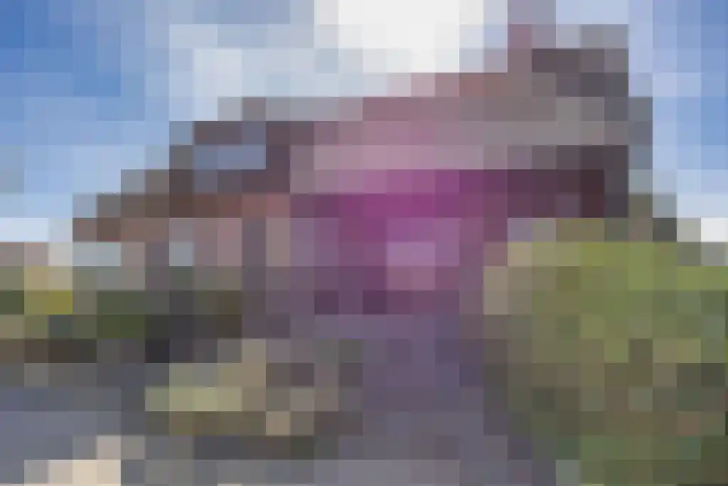 Zoutepoel 1 a Sneek thumbnail 53