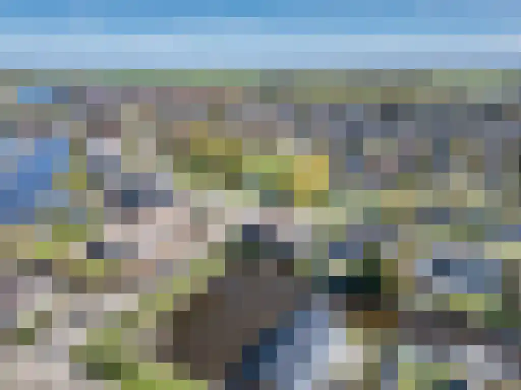 Zoutepoel 1 a Sneek thumbnail 6