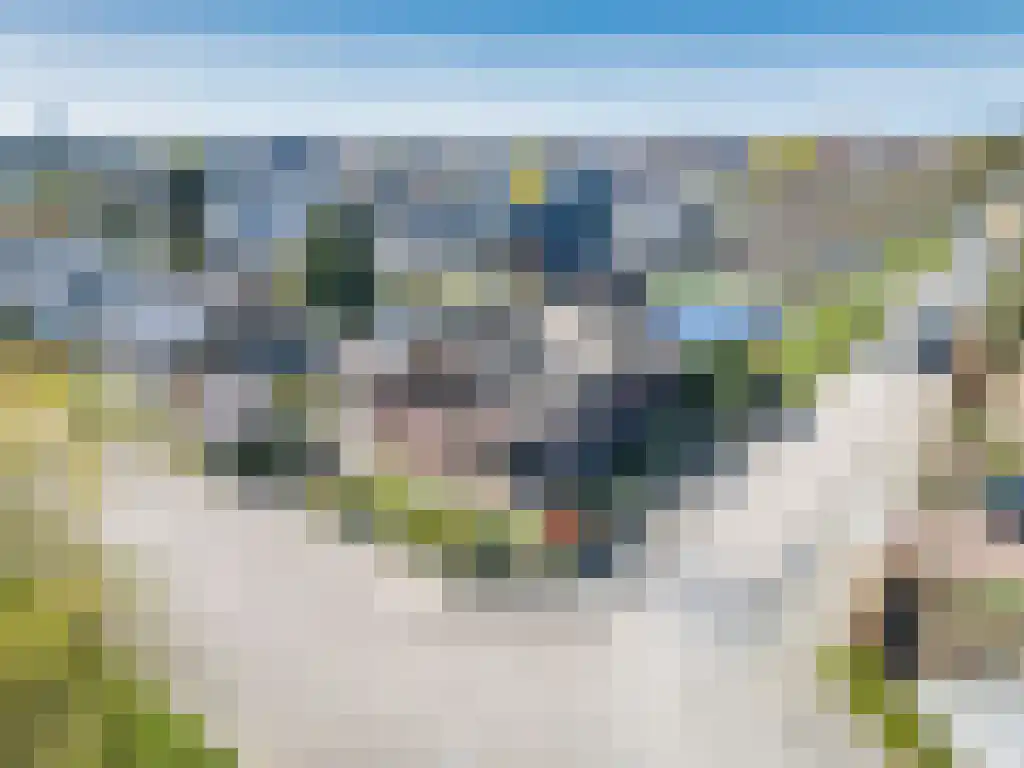 Zoutepoel 1 a Sneek thumbnail 61