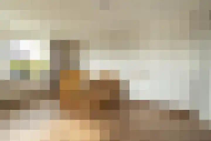 Zoutepoel 1 a Sneek thumbnail 8