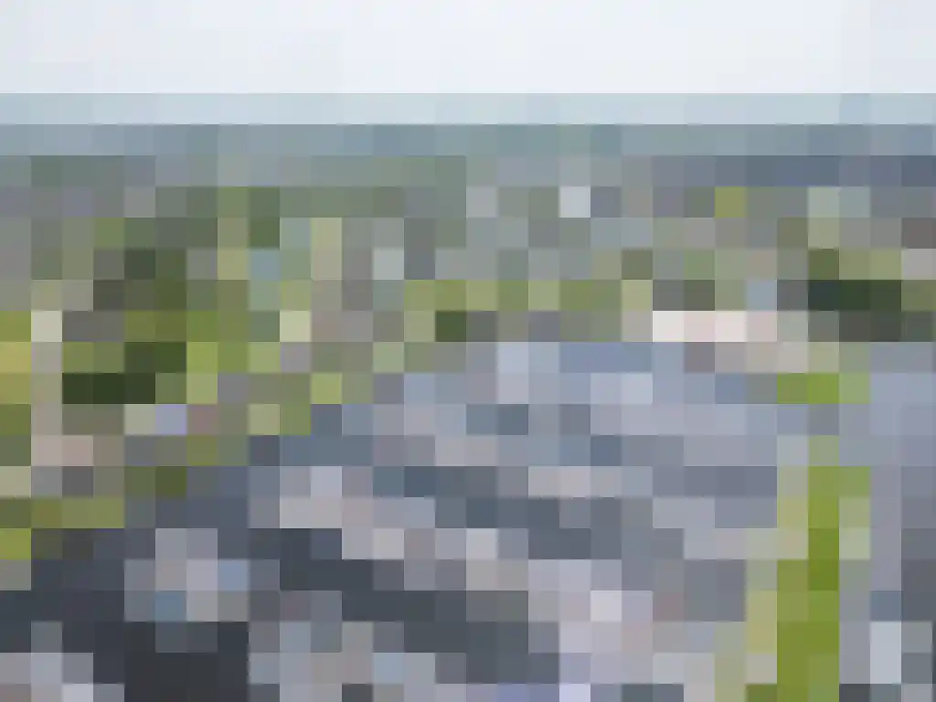 Zoutepoel 2 b Sneek thumbnail 102