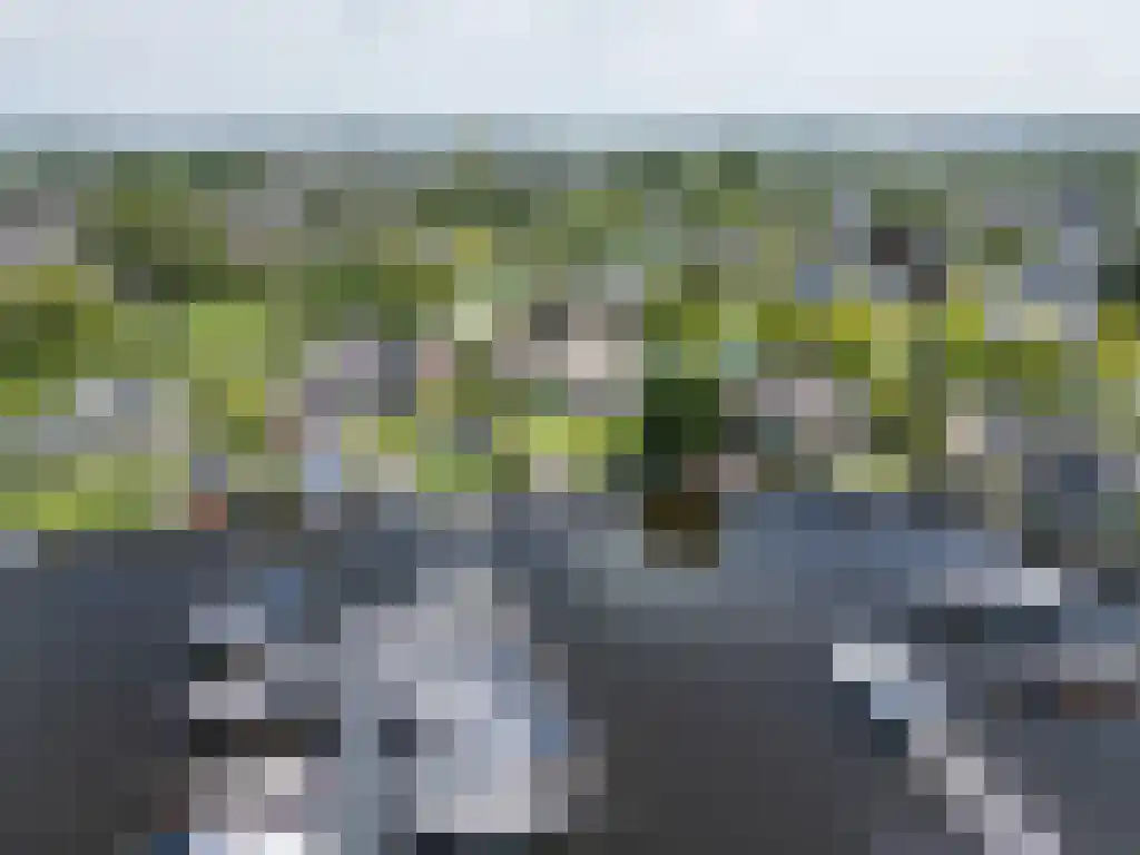Zoutepoel 2 b Sneek thumbnail 103