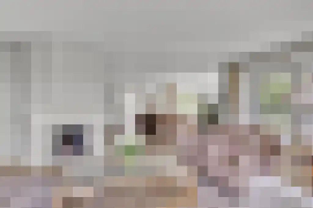 Zoutepoel 2 b Sneek thumbnail 14