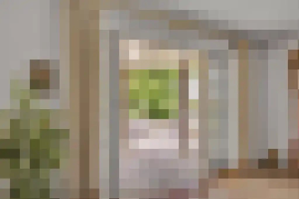 Zoutepoel 2 b Sneek thumbnail 17