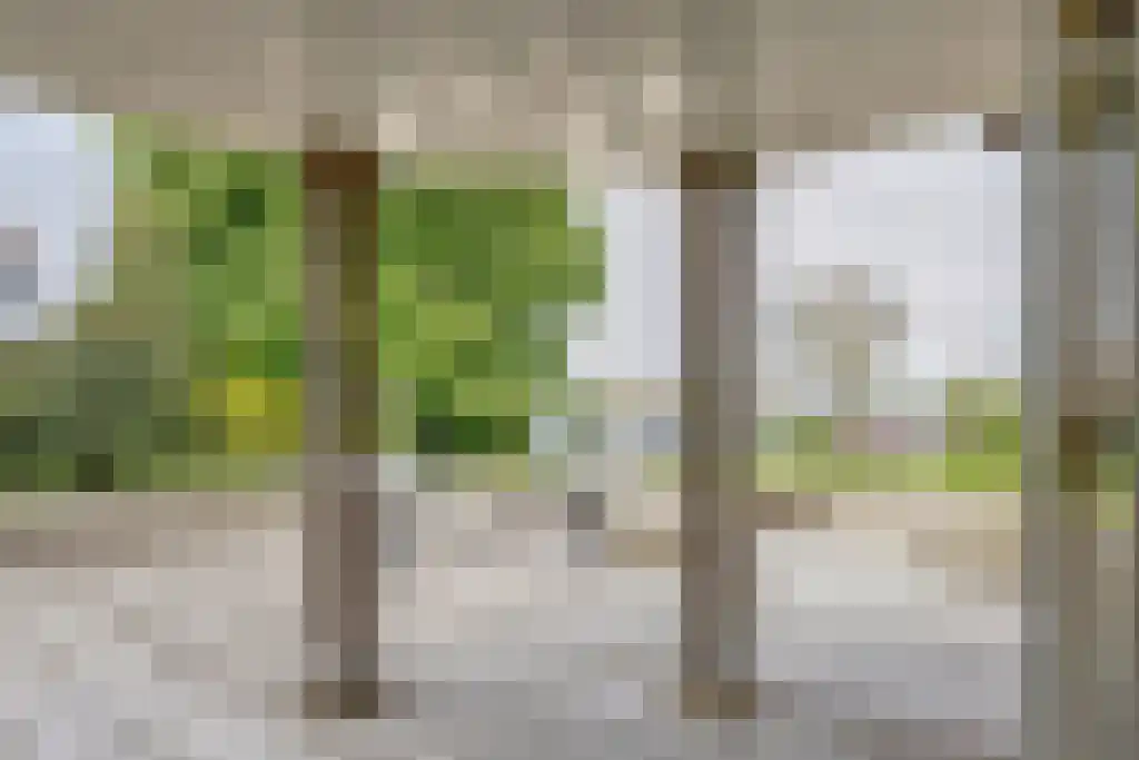 Zoutepoel 2 b Sneek thumbnail 18