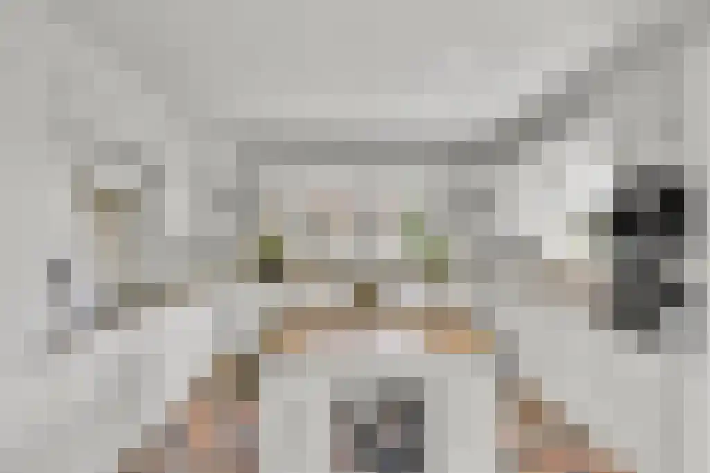 Zoutepoel 2 b Sneek thumbnail 27