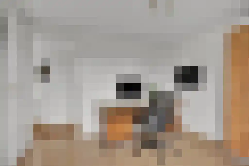 Zoutepoel 2 b Sneek thumbnail 32