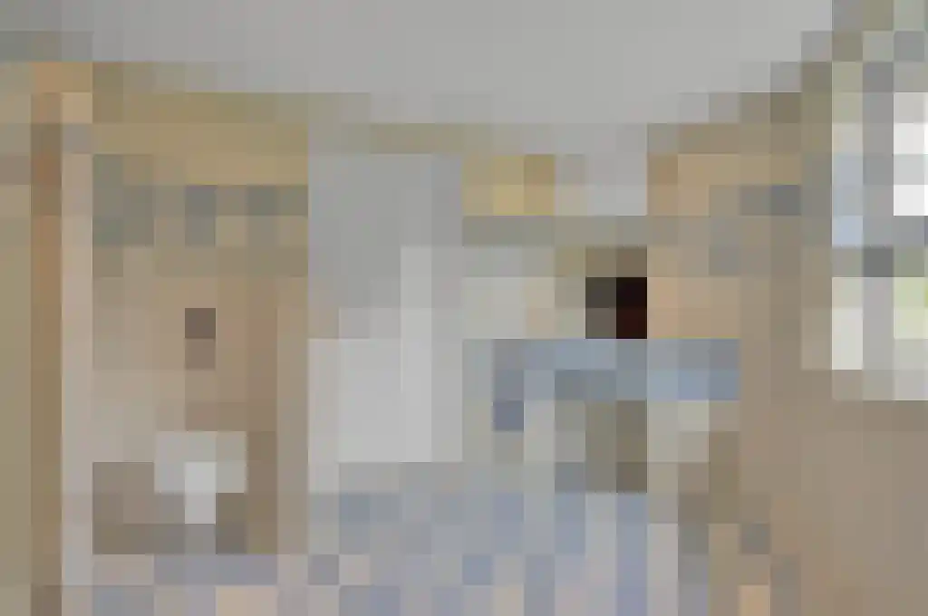Zoutepoel 2 b Sneek thumbnail 34