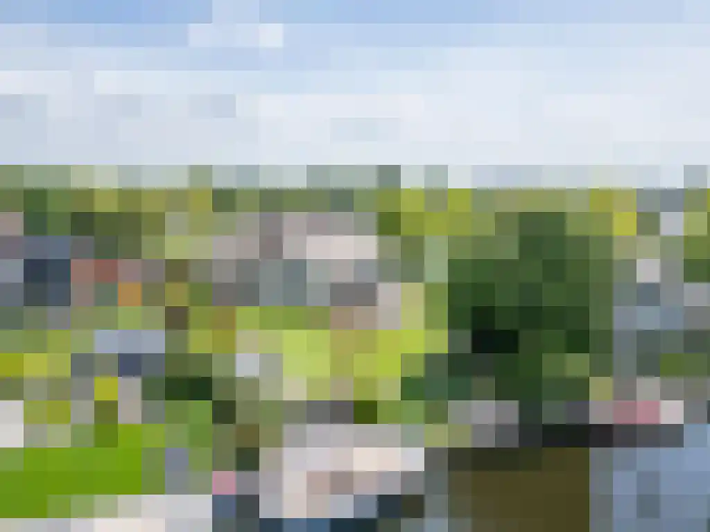 Zoutepoel 2 b Sneek thumbnail 4
