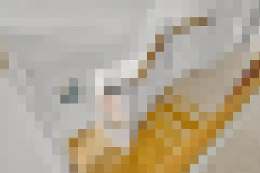 Zoutepoel 2 b Sneek thumbnail 44