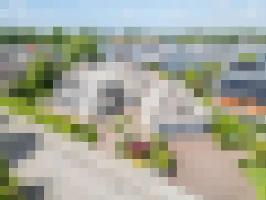 Zoutepoel 2 b Sneek thumbnail 5