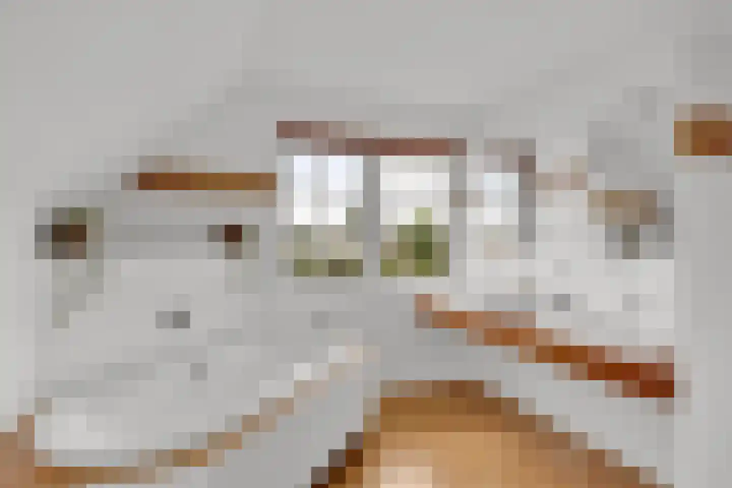 Zoutepoel 2 b Sneek thumbnail 52