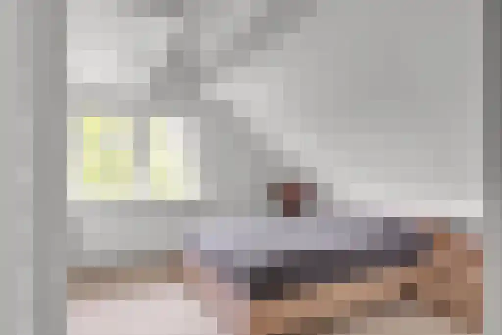 Zoutepoel 2 b Sneek thumbnail 58