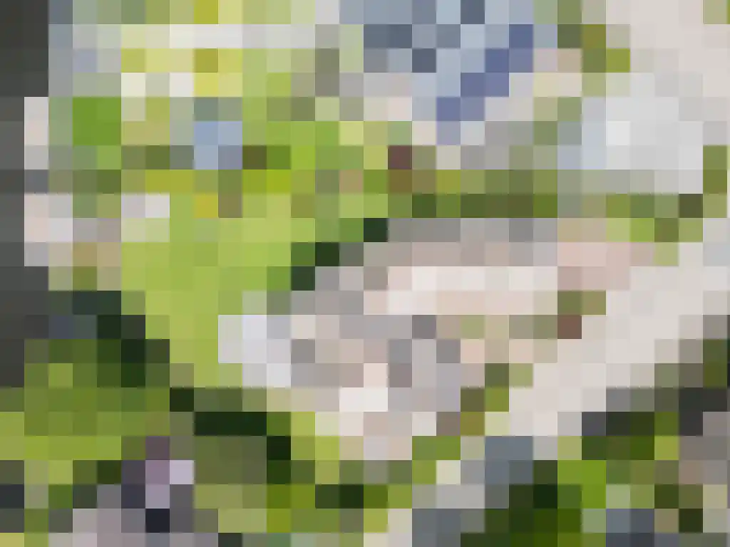 Zoutepoel 2 b Sneek thumbnail 6