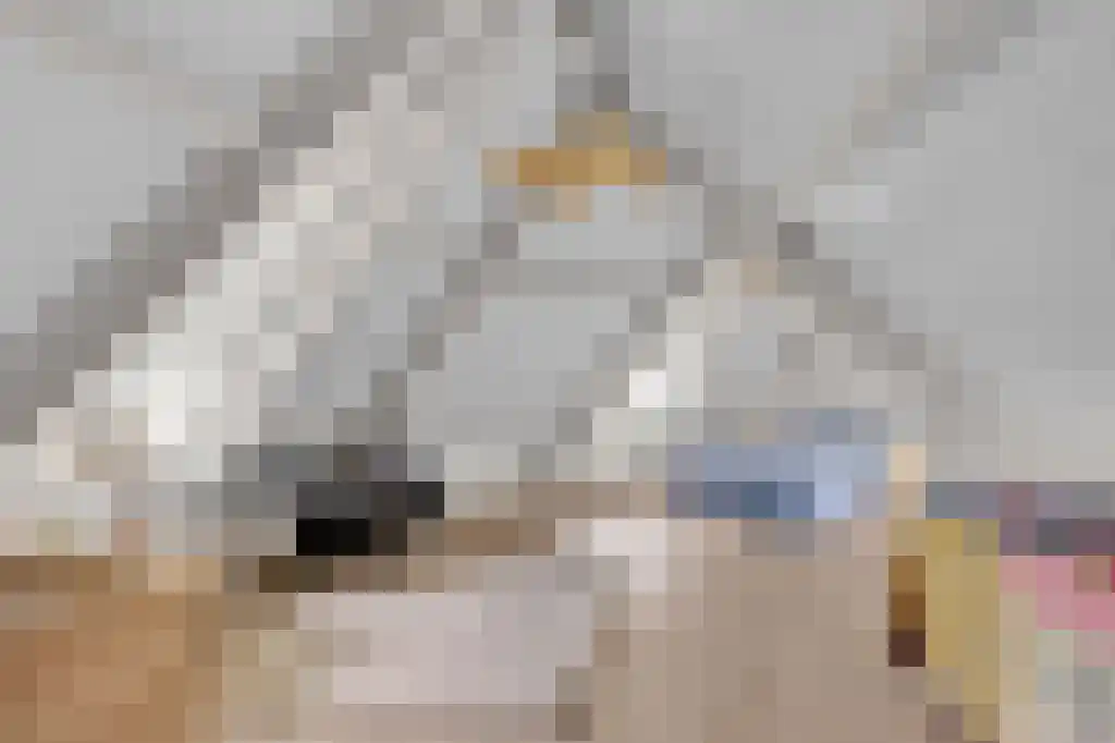 Zoutepoel 2 b Sneek thumbnail 62