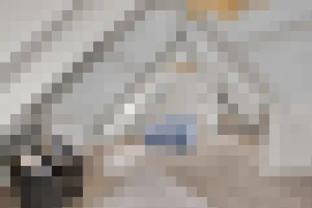 Zoutepoel 2 b Sneek thumbnail 63
