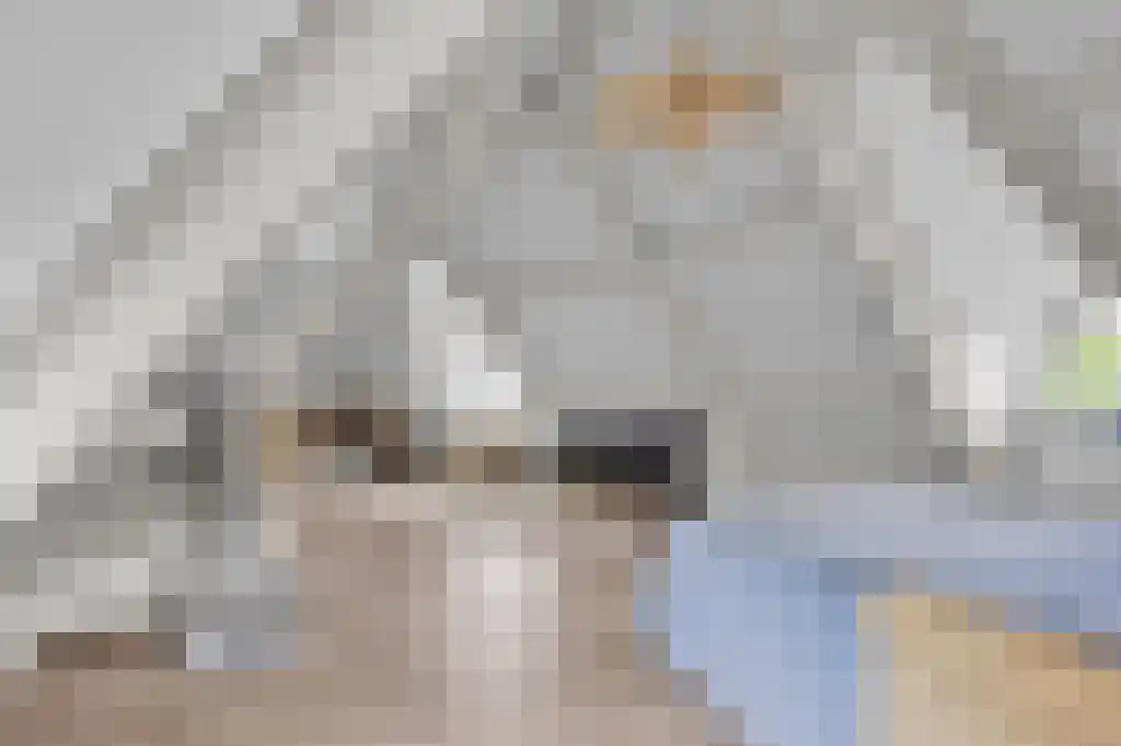 Zoutepoel 2 b Sneek thumbnail 64