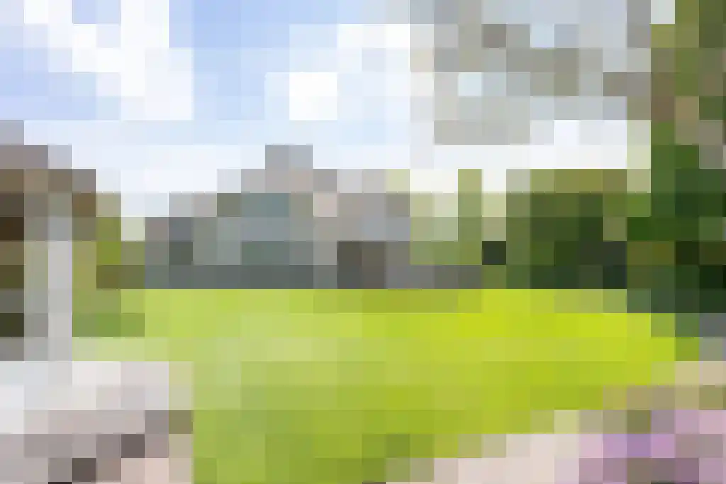 Zoutepoel 2 b Sneek thumbnail 69