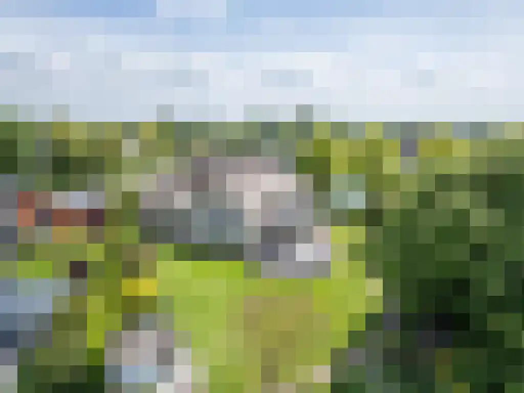 Zoutepoel 2 b Sneek thumbnail 75