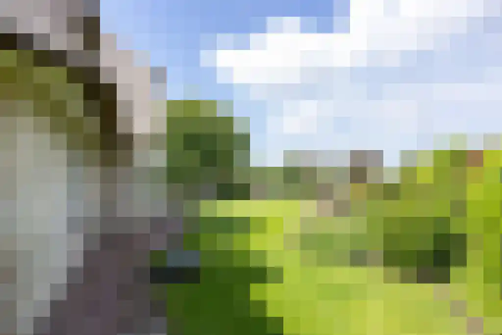 Zoutepoel 2 b Sneek thumbnail 86