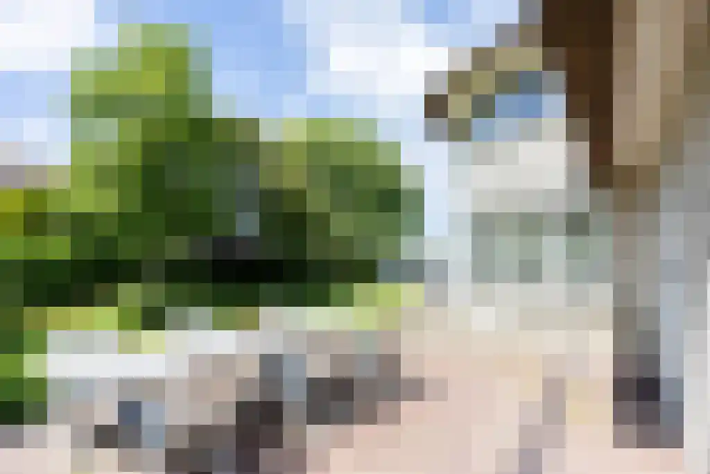 Zoutepoel 2 b Sneek thumbnail 89