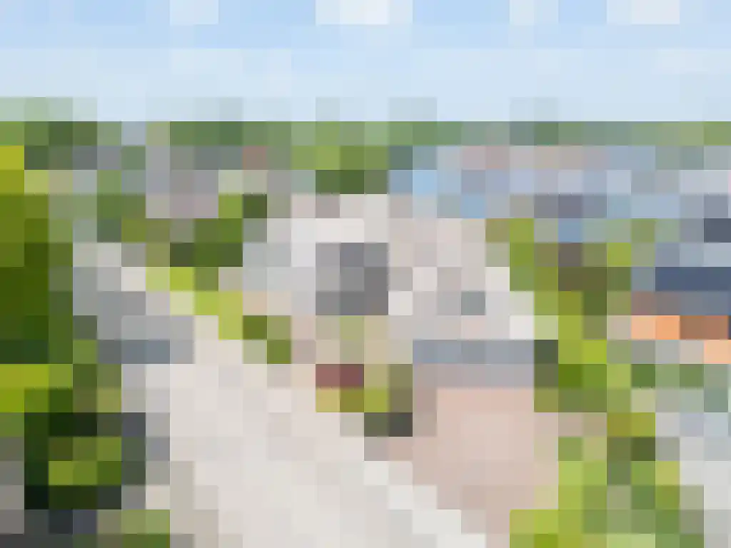Zoutepoel 2 b Sneek thumbnail 95