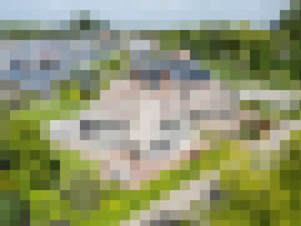 Zoutepoel 2 b Sneek thumbnail 96