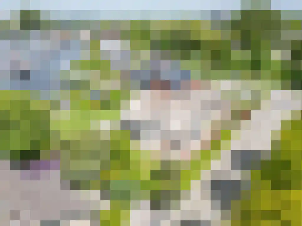 Zoutepoel 2 b Sneek thumbnail 97