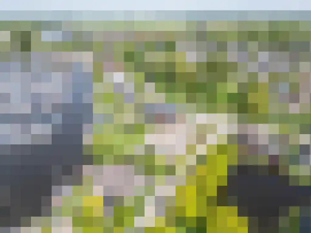 Zoutepoel 2 b Sneek thumbnail 98