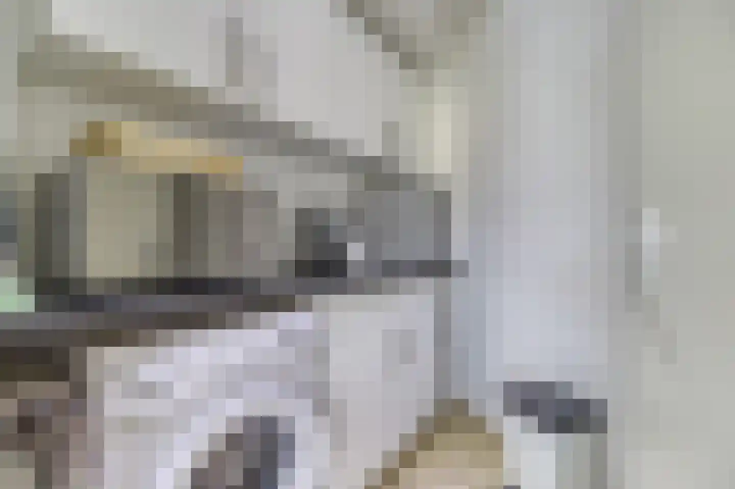 Zouterik 14 Nieuwvliet thumbnail 11