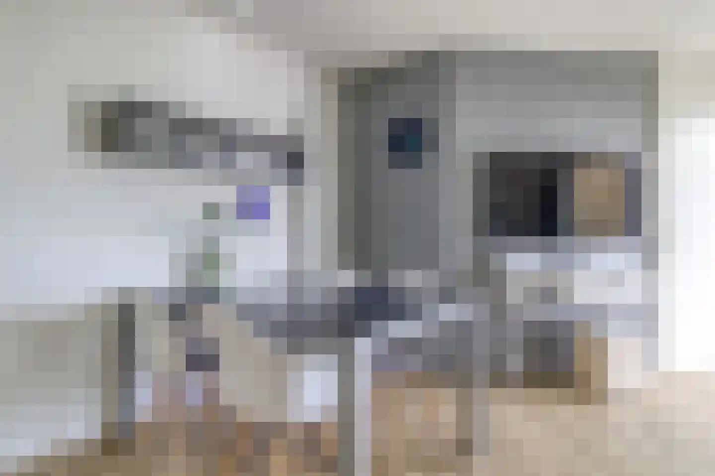 Zouterik 14 Nieuwvliet thumbnail 12