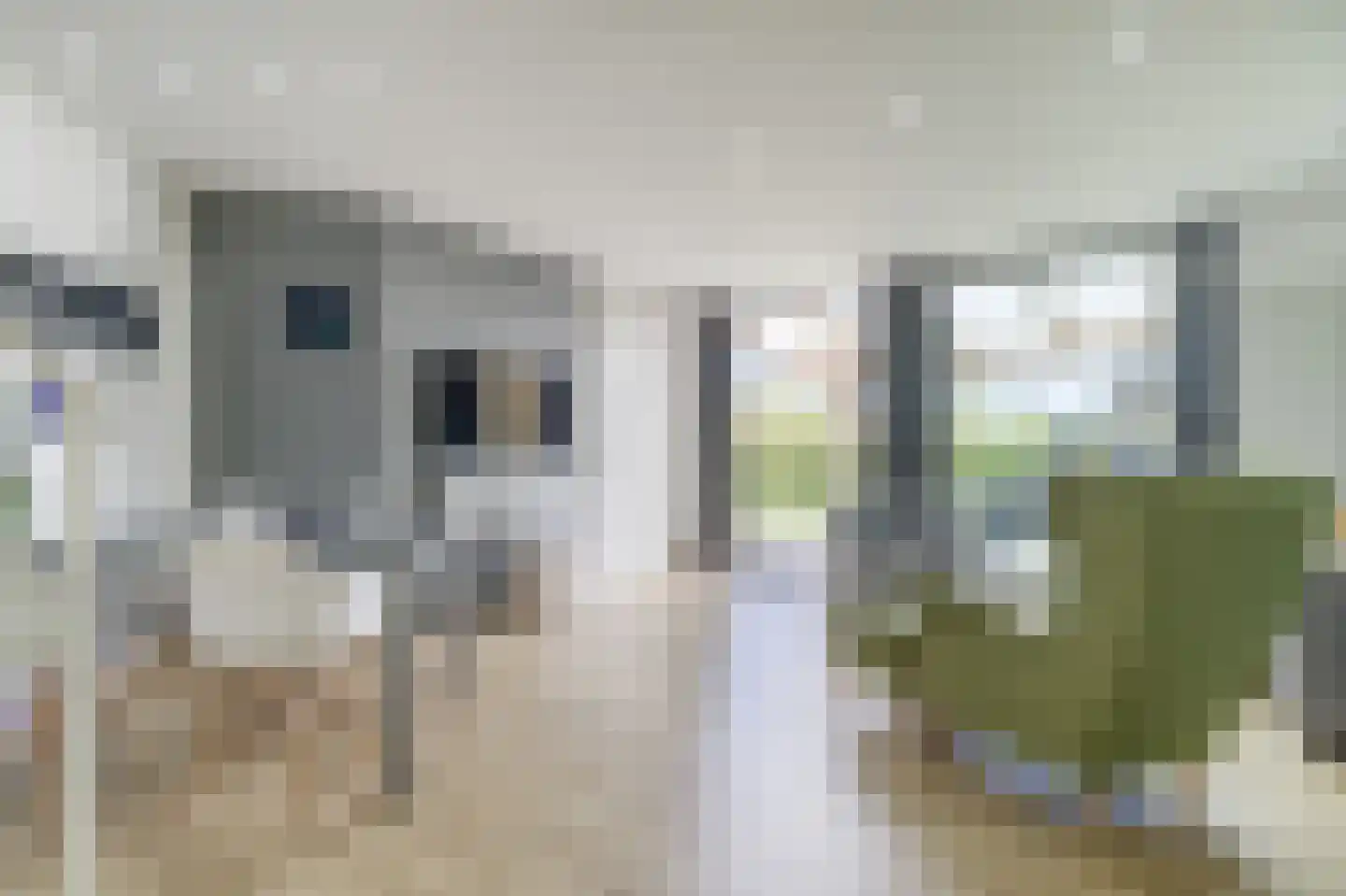 Zouterik 14 Nieuwvliet thumbnail 13