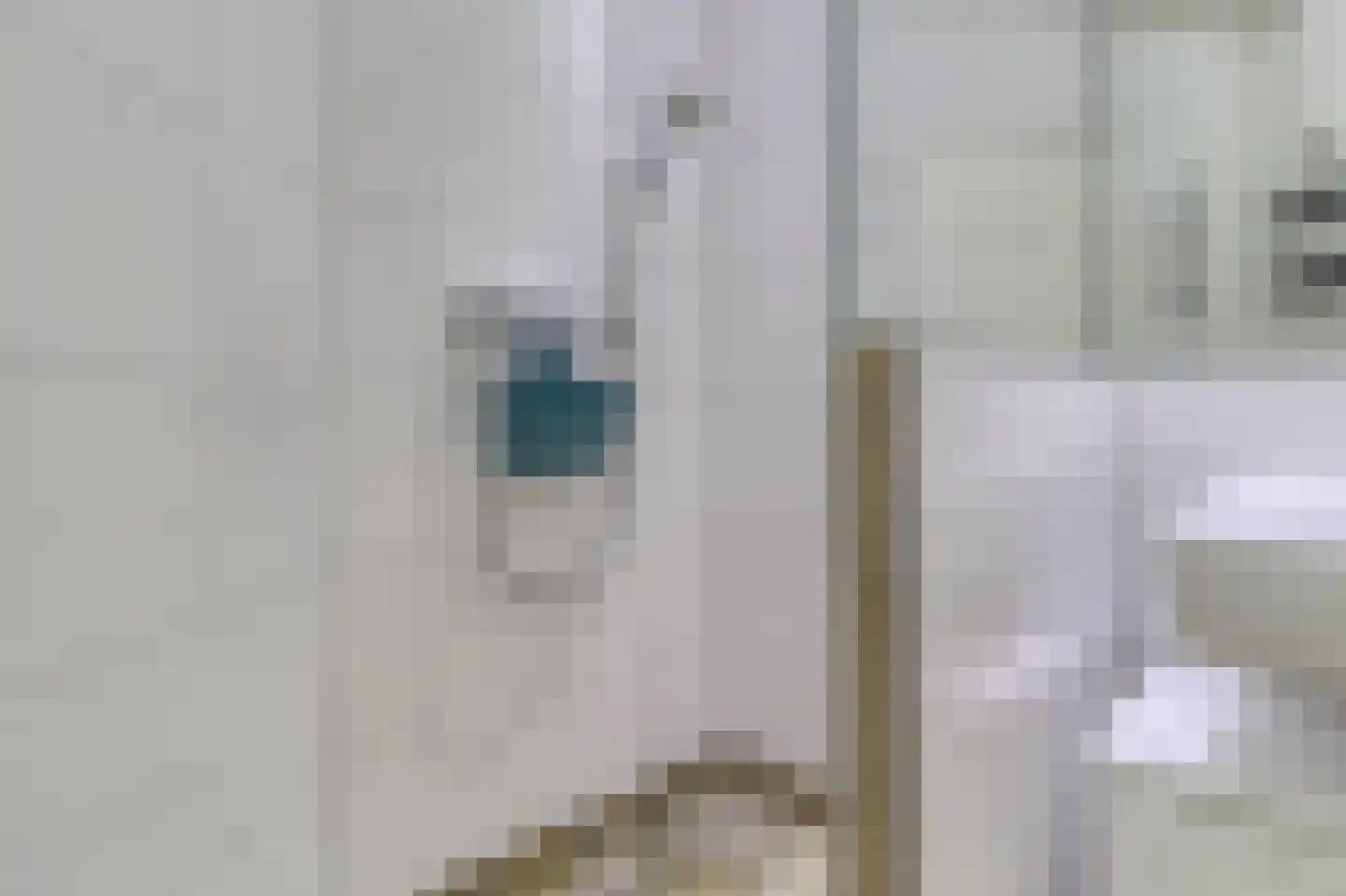 Zouterik 14 Nieuwvliet thumbnail 15