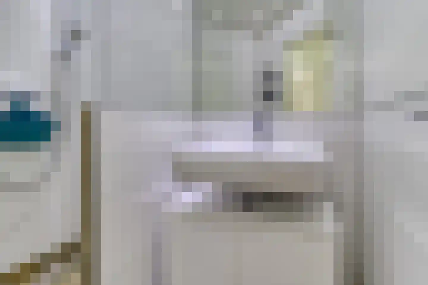 Zouterik 14 Nieuwvliet thumbnail 16