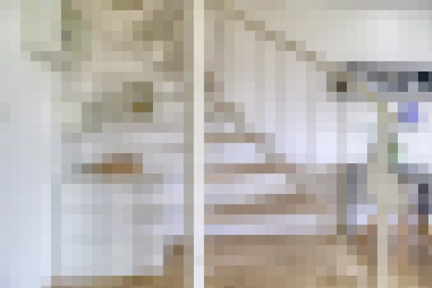 Zouterik 14 Nieuwvliet thumbnail 17
