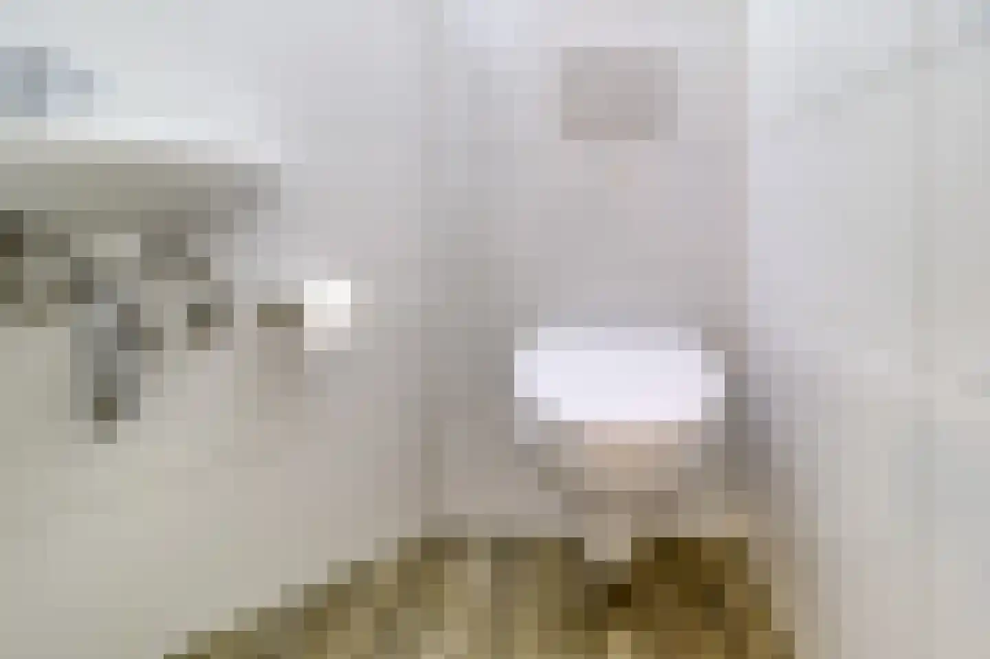 Zouterik 14 Nieuwvliet thumbnail 24