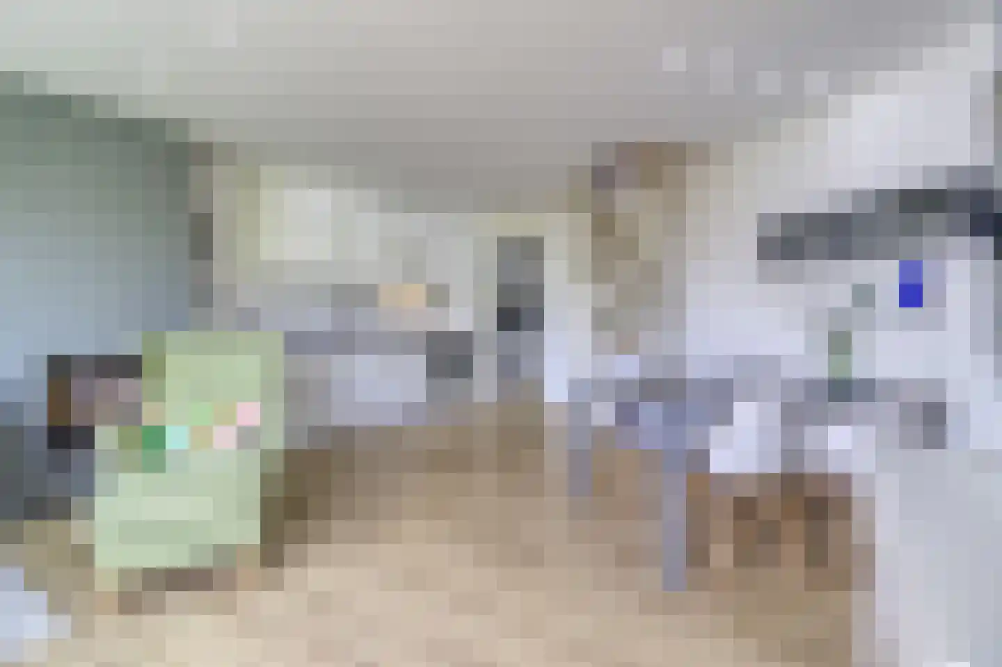 Zouterik 14 Nieuwvliet thumbnail 7