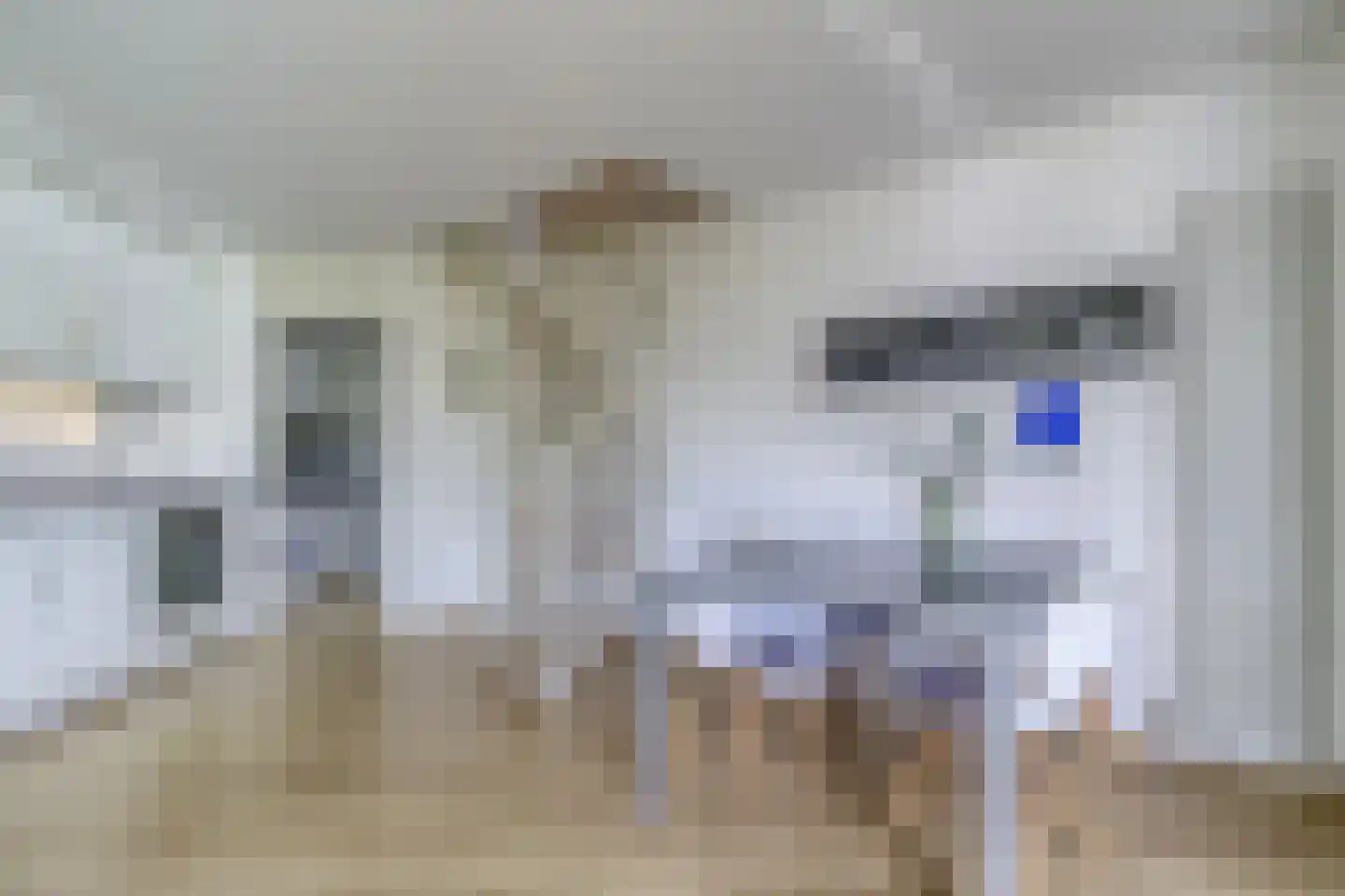 Zouterik 14 Nieuwvliet thumbnail 8