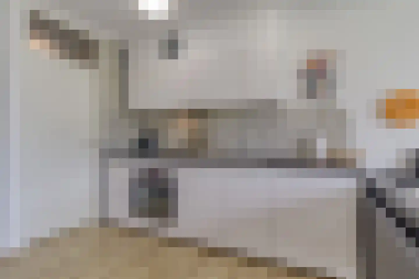 Zouterik 28 Nieuwvliet thumbnail 11